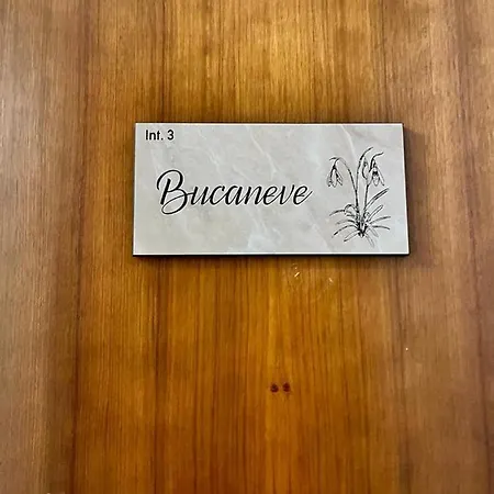 Bucaneve Apartamento *