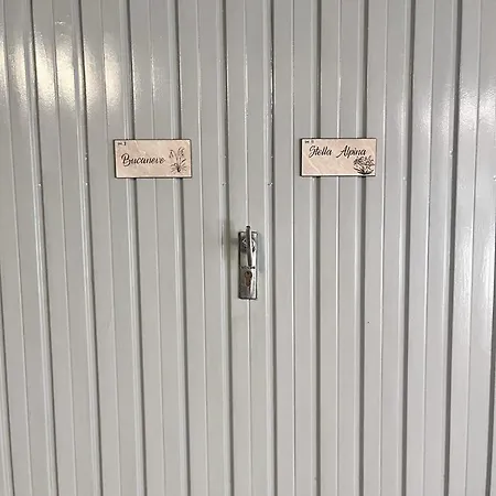 Bucaneve Apartament